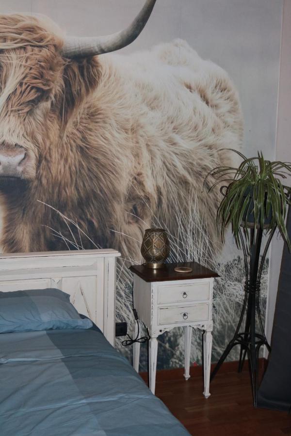 B&B Acquagrossa San Martino Buon Albergo Dış mekan fotoğraf
